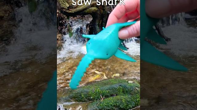 Kids Learn | Sea Animal Names at the Double Waterfall: Octopus Saw Shark Spider Crab Seahorse Kids Learn | Sea Animal Names at the Double Waterfall: Octopus Saw Shark Spider Crab Seahorse