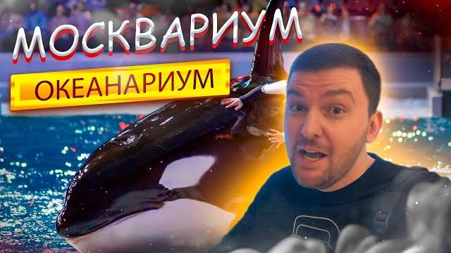 Москвариум 2025! Обзор. Лучший Океанариум! Развлечения в МОСКВЕ! Что посмотреть?ВДНХ, АКУЛЫ, КОСАТКА Москвариум 2025! Обзор. Лучший Океанариум! Развлечения в МОСКВЕ! Что посмотреть?ВДНХ, АКУЛЫ, КОСАТКА