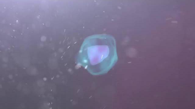 красивое начало для видео красивое начало для видео