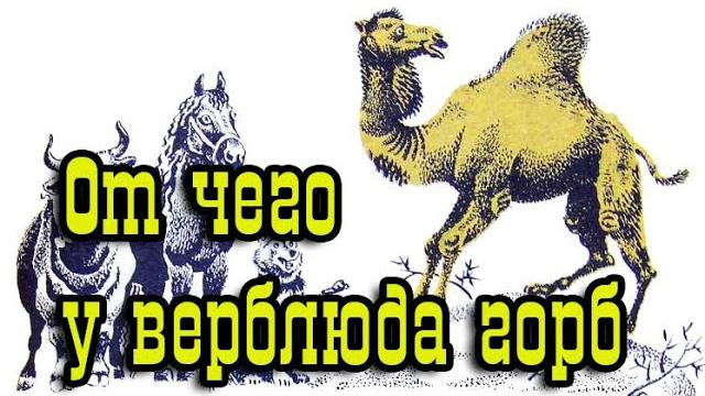 Отчего у верблюда горб Отчего у верблюда горб