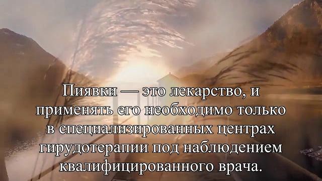 Пиявки при простатите — Статья Пиявки при простатите — Статья