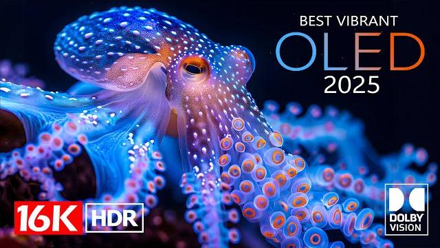 Best Vibrant 16K Video ULTRA HD - 16K HDR Dolby Vision Best Vibrant 16K Video ULTRA HD - 16K HDR Dolby Vision