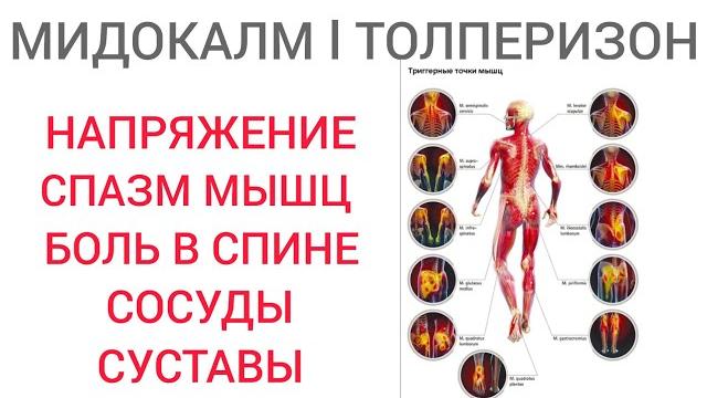 Расслабиться l Мидокалм l Плюсы и Минусы l Мнение врача l Tolperisone - Uses Side Effects Расслабиться l Мидокалм l Плюсы и Минусы l Мнение врача l Tolperisone - Uses Side Effects