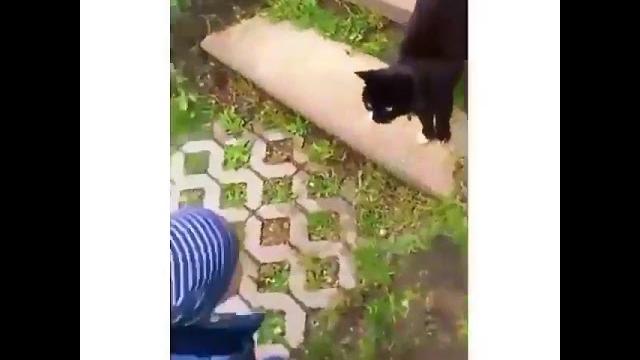 Спроси как у кошечки дела? Спроси как у кошечки дела?