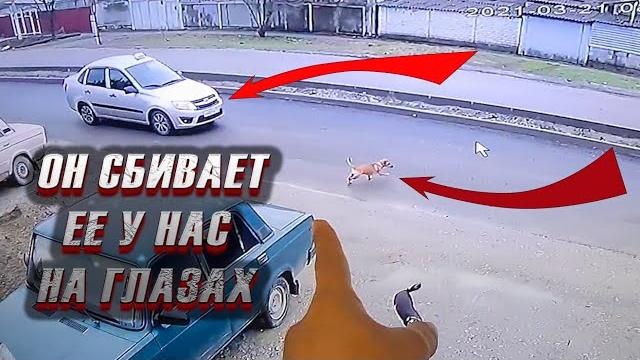На Герду наезжает таксисит Все ли обошлось? На Герду наезжает таксисит Все ли обошлось?