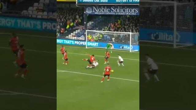 manchester city vs luton town 2-1 manchester city vs luton town 2-1