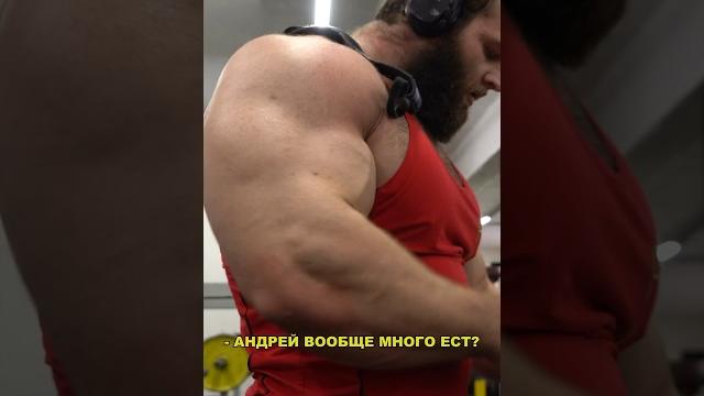 Сколько ест Андрей Смаев, чтобы жать лежа 300 кг? Сколько ест Андрей Смаев, чтобы жать лежа 300 кг?