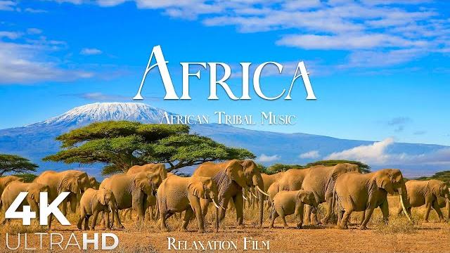 AFRICA 4K • Breathtaking Wildlife, Tribal Music - Relaxation Film - Nature 4k Video UltraHD AFRICA 4K • Breathtaking Wildlife, Tribal Music - Relaxation Film - Nature 4k Video UltraHD