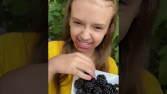 кто любит ежевику #прикол #юмор #смех #ежевика кто любит ежевику #прикол #юмор #смех #ежевика
