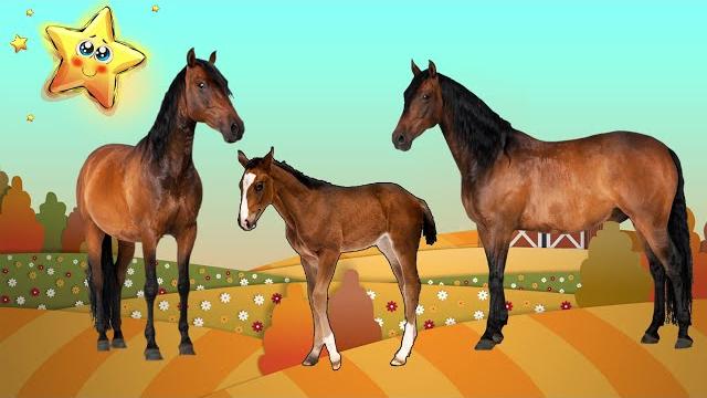 Домашние Животные и их Детеныши - Развивающие Мультики для Детей Домашние Животные и их Детеныши - Развивающие Мультики для Детей