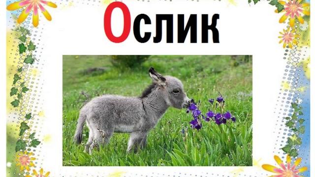 Лучший АЛФАВИТ (звуковой)- буква О. Русская АЗБУКА. Развивающее, обучающее видео для детей. Лучший АЛФАВИТ (звуковой)- буква О. Русская АЗБУКА. Развивающее, обучающее видео для детей.