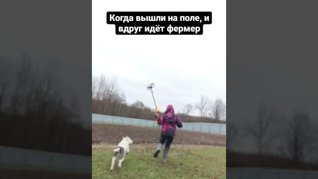 Пусть думают, что мы спортсмены Пусть думают, что мы спортсмены