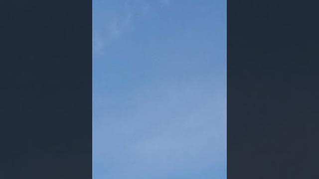 Привет всем ето видео про дятла Привет всем ето видео про дятла