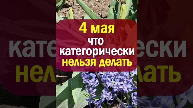 4 мая народный праздник Проклов день. Что нельзя делать. Народные приметы и традиции, суеверия 4 мая народный праздник Проклов день. Что нельзя делать. Народные приметы и традиции, суеверия