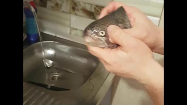 прикол с рыбой прикол с рыбой