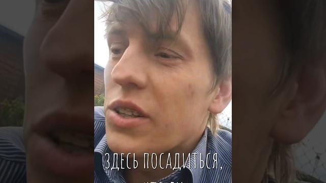Щербаков про огород тещи #shorts Щербаков про огород тещи #shorts