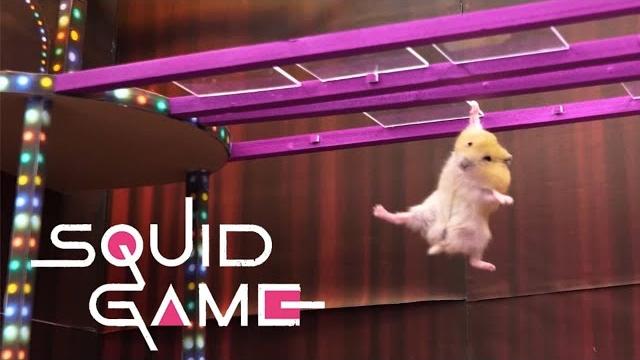 Squid Game vs Hamsterious: All Amazing Challenge Squid Game vs Hamsterious: All Amazing Challenge