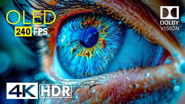 Mind Blowing OLED Dolby Vision - 4K HDR 240 fps Mind Blowing OLED Dolby Vision - 4K HDR 240 fps