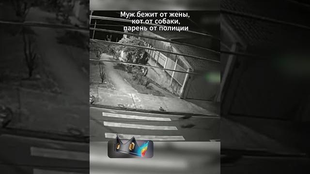Муж бежит от жены, кот от собаки, парень от полиции ️️ Муж бежит от жены, кот от собаки, парень от полиции ️️