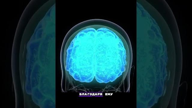 Что такое фенибут? Что такое фенибут?
