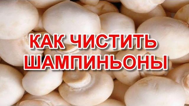 Как чистить шампиньоны Как чистить шампиньоны