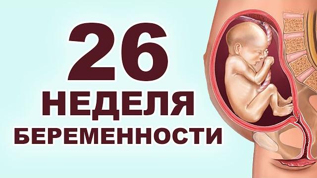 Что происходит с мамой и ребенком на 26 неделе беременности? 6 месяц беременности. Второй триместр. Что происходит с мамой и ребенком на 26 неделе беременности? 6 месяц беременности. Второй триместр.