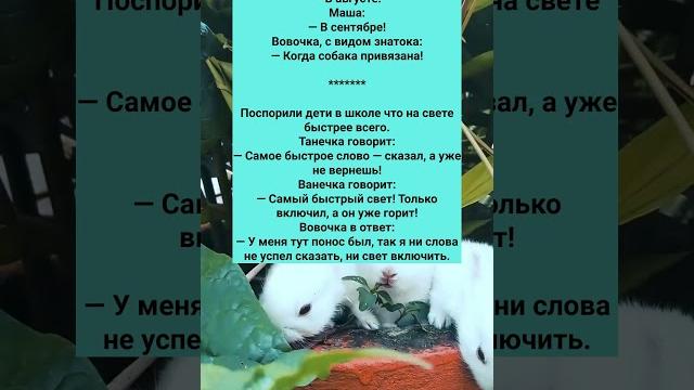 СТАРЫЙ СМЕШНОЙ АНЕКДОТ ПРО ВОВОЧКУ #анекдоты #Юмор #История #Жизнь #Анекдот #Прикол #США СТАРЫЙ СМЕШНОЙ АНЕКДОТ ПРО ВОВОЧКУ #анекдоты #Юмор #История #Жизнь #Анекдот #Прикол #США