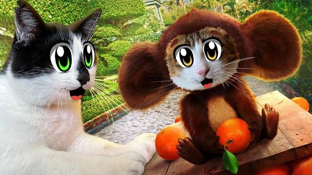 3 СПОСОБА ПРАНКАНУТЬ КОТОВ! ЧЕБУРАШКА В РЕАЛЬНОЙ ЖИЗНИ! ПРИКОЛЫ с КОТАМИ! СМЕШНЫЕ КОТИКИ ЮГИ И ЯНИ 3 СПОСОБА ПРАНКАНУТЬ КОТОВ! ЧЕБУРАШКА В РЕАЛЬНОЙ ЖИЗНИ! ПРИКОЛЫ с КОТАМИ! СМЕШНЫЕ КОТИКИ ЮГИ И ЯНИ
