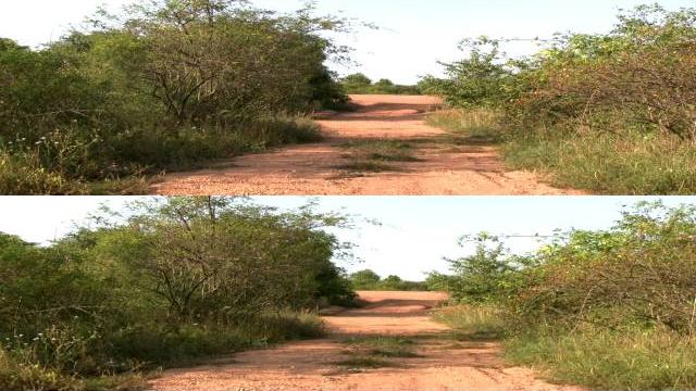 Природа 3D (HD) Природа 3D (HD)