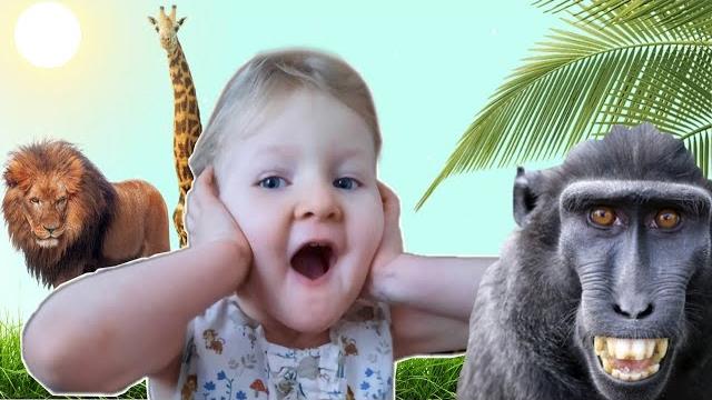 Дикие животные для детей. Развивающее видео 0+ Дикие животные для детей. Развивающее видео 0+
