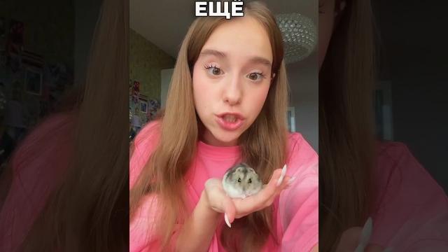 хомяки или котята?! кого выберешь ты? мой тг «хей! это марьяна!» хомяки или котята?! кого выберешь ты? мой тг «хей! это марьяна!»