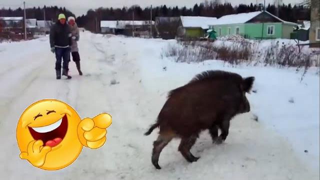 ПРИКОЛЬНЫЕ ВИДЕО на тему ОХОТА и РЫБАЛКА 2 ПРИКОЛЬНЫЕ ВИДЕО на тему ОХОТА и РЫБАЛКА 2