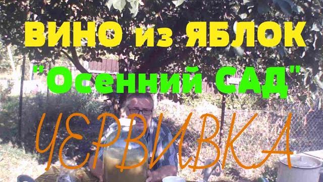 ВИНО из ЯБЛОК ! Рецепт, всегда так делаю ВИНО из ЯБЛОК ! Рецепт, всегда так делаю
