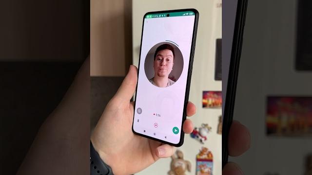Видео-Кружочки теперь и в WhatsApp #Shorts Видео-Кружочки теперь и в WhatsApp #Shorts