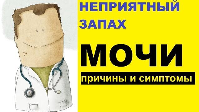 Неприятный запах мочи – причины и симптомы Неприятный запах мочи – причины и симптомы