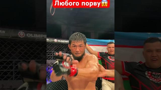 Любого порву Бобур Абдулазизов горила #mma #ufc #мма #automobile #бой #бои #бокс #юфс #sports Любого порву Бобур Абдулазизов горила #mma #ufc #мма #automobile #бой #бои #бокс #юфс #sports