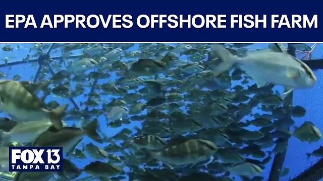 EPA approves offshore fish farm EPA approves offshore fish farm