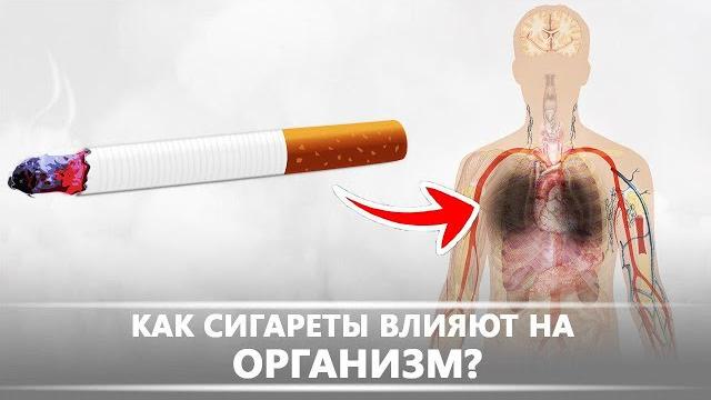 Как сигареты влияют на организм | DeeaFilm Как сигареты влияют на организм | DeeaFilm