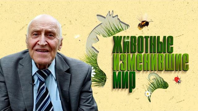 Николай Дроздов рассказывает о животных, изменивших мир. Все выпуски Николай Дроздов рассказывает о животных, изменивших мир. Все выпуски