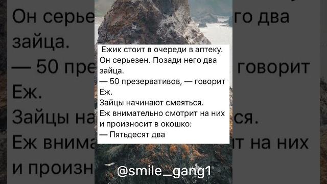 Ежик в аптеке: «Пятьдесят два! #анекдоты Ежик в аптеке: «Пятьдесят два! #анекдоты