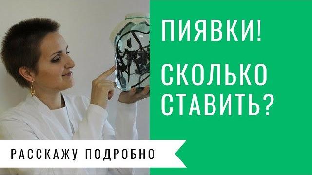 Сколько можно ставить пиявок? Сколько можно ставить пиявок?