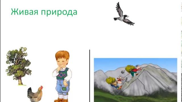 Живая и неживая природа. Сайт - игра Разумейкин Живая и неживая природа. Сайт - игра Разумейкин