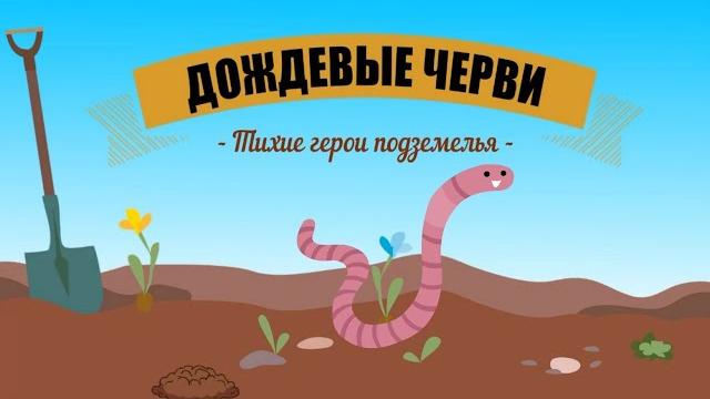 Earthworms: Underground Heroes | Why are Earthworms Important? |The Wonderful World of Invertebrates Earthworms: Underground Heroes | Why are Earthworms Important? |The Wonderful World of Invertebrates