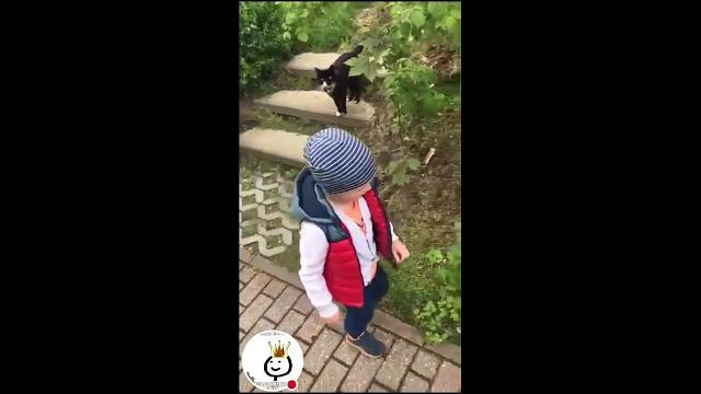 Кошечка сказала зае###ь (видео не маё) Кошечка сказала зае###ь (видео не маё)