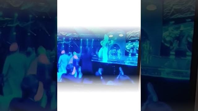 шоу "Маска" | Пудель шоу "Маска" | Пудель