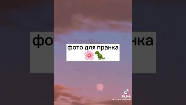Фото для пранка#фотодляпранка#фото#пранк#shortsvideo Фото для пранка#фотодляпранка#фото#пранк#shortsvideo