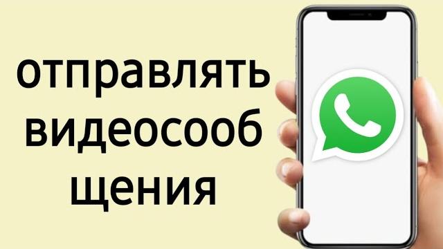 Видео в Кружочке в Ватсап не работают, пропали мгновенные видеосообщения в Ватсапе - как записать Видео в Кружочке в Ватсап не работают, пропали мгновенные видеосообщения в Ватсапе - как записать