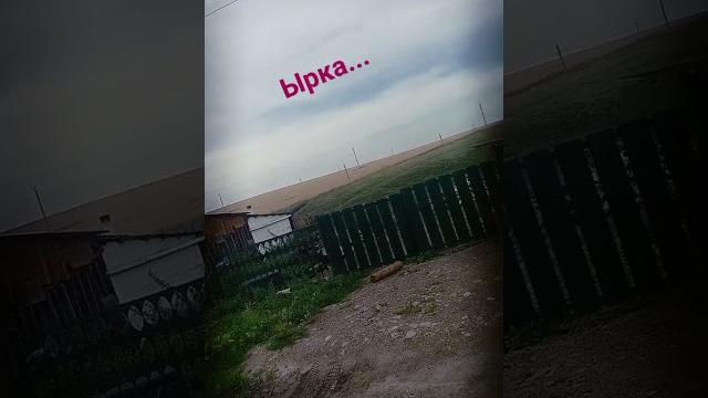 ырка. #мем #ырка #пжврекомендации ырка. #мем #ырка #пжврекомендации