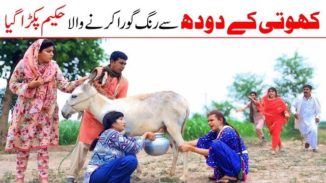 Milk Pack | Ramzi,Noori, Bilo ,Bhootna,Shoki, Sanam, Falak Sher,Funny Video Rachnavi Tv Milk Pack | Ramzi,Noori, Bilo ,Bhootna,Shoki, Sanam, Falak Sher,Funny Video Rachnavi Tv