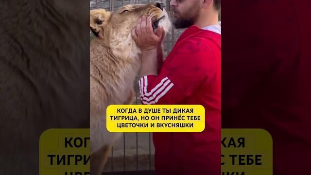 Много тут диких?#животные #отношения #прикол #юмор #мило #милота #мужчинаиженщина #смешныеживотные Много тут диких?#животные #отношения #прикол #юмор #мило #милота #мужчинаиженщина #смешныеживотные